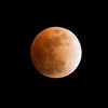 SmugMug > all-time keyword > eclipse > The reddish color at totality is due to sunlight refracted around the earth's atmosphere shining on the moon.